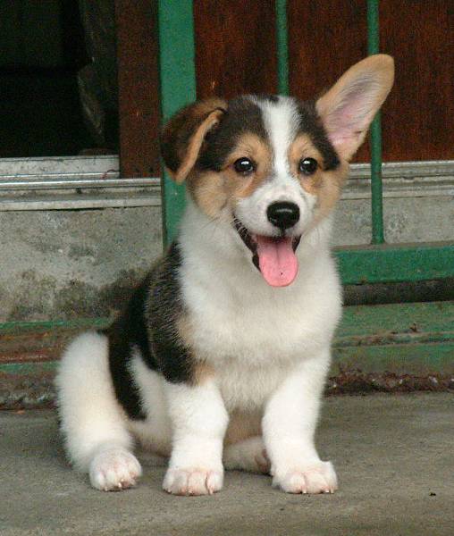 20040501-新竹家裡 20040501-新竹家裡