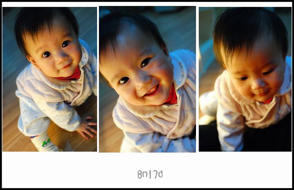 11111.jpg 11111.jpg