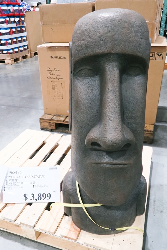 IMG_7858.jpg IMG_7858.jpg