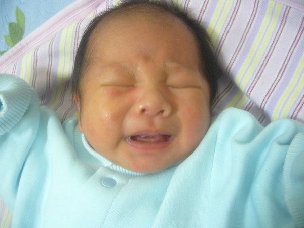 P1060383.JPG P1060383.JPG