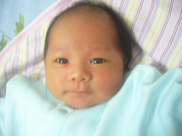 P1060384.JPG P1060384.JPG