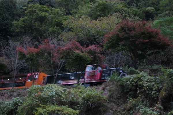 IMG_1806.JPG IMG_1806.JPG