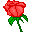 rose-icon.png