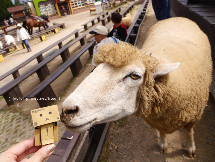 P2210761.png P2210761.png