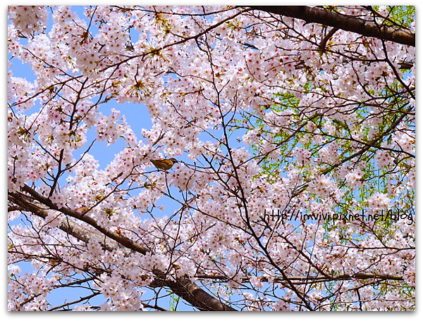 P2370638.png P2370638.png