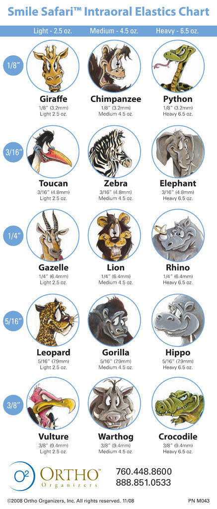 Smile_Safari_Chart 橡皮圈型錄