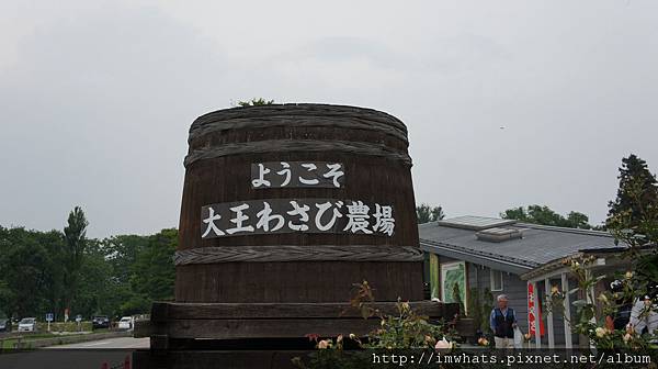 wasabi農場DSC04679.JPG wasabi農場DSC04679.JPG