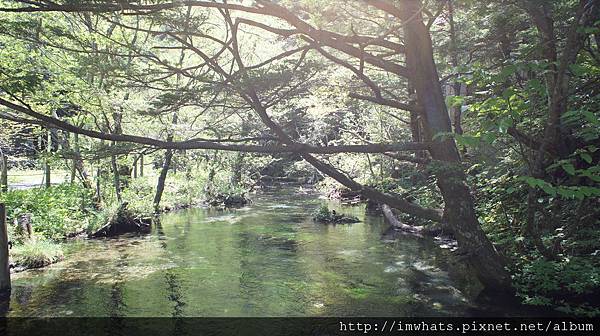 上高地DSC04790.JPG 上高地DSC04790.JPG