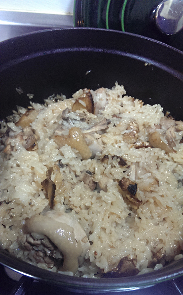 IMAG1313_mh1386842458489