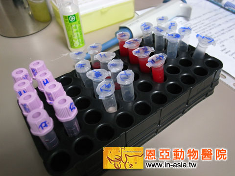 血液配對1.jpg 血液配對1.jpg