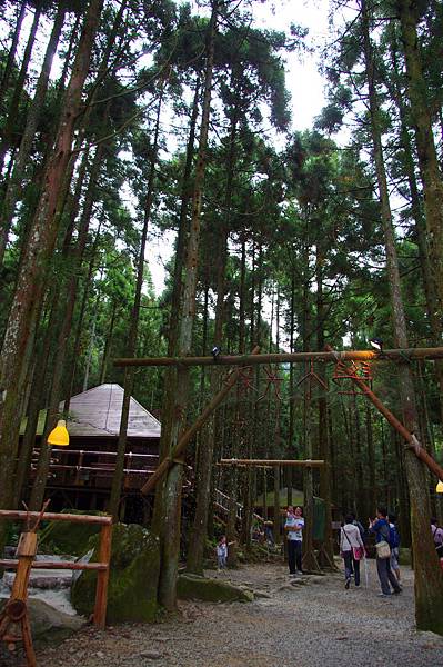 IMGP2142.JPG IMGP2142.JPG