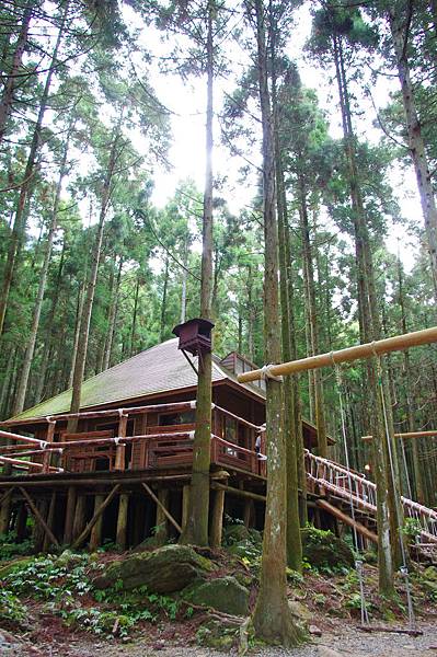 IMGP2149.JPG IMGP2149.JPG