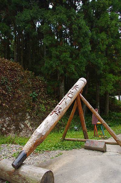 IMGP2238.JPG IMGP2238.JPG