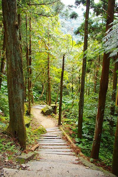 IMGP2223.JPG IMGP2223.JPG