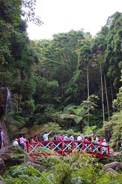 IMGP2171.JPG IMGP2171.JPG