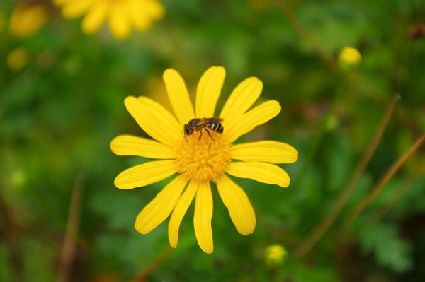 IMGP2251.JPG IMGP2251.JPG