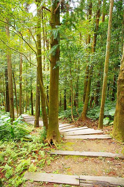 IMGP2229.JPG IMGP2229.JPG