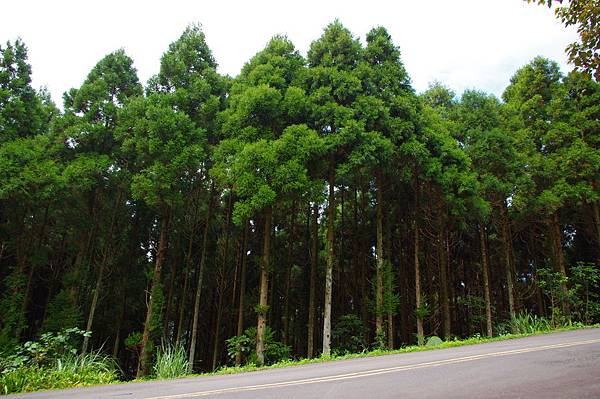 IMGP2236.JPG IMGP2236.JPG