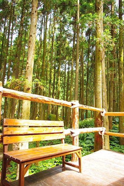 IMGP2246.JPG IMGP2246.JPG