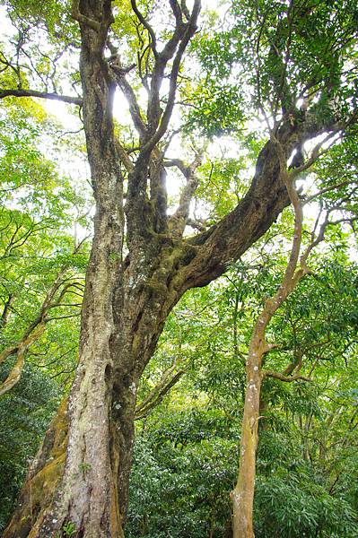 IMGP2210.JPG IMGP2210.JPG