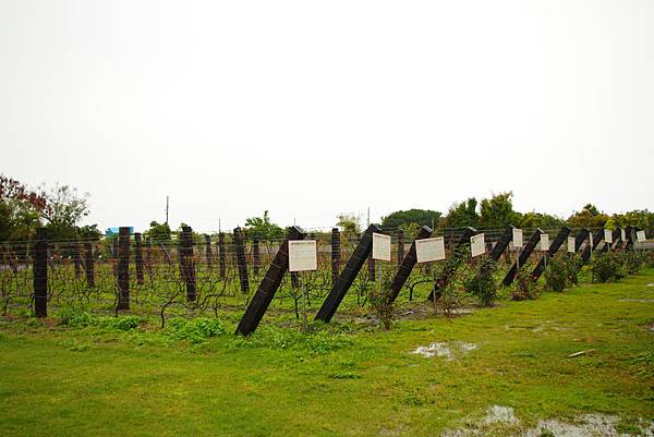 IMGP9303 IMGP9303