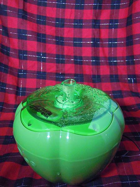 DSCN2812 DSCN2812