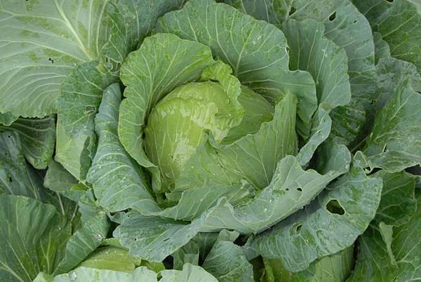 230167_511440798866601_1895890345_n 230167_511440798866601_1895890345_n