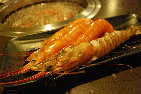 DSC_0115 DSC_0115