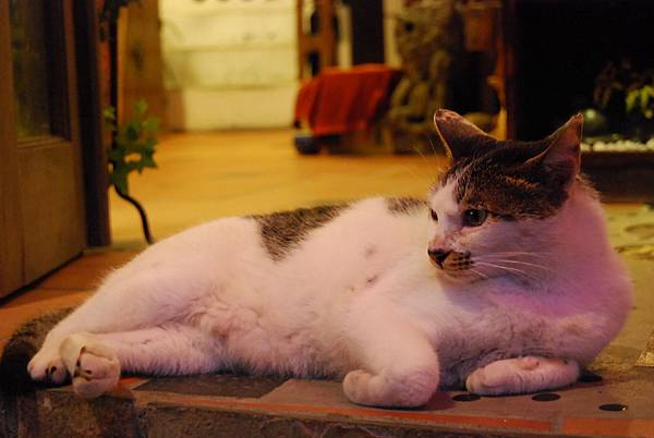 DSC_0249 DSC_0249