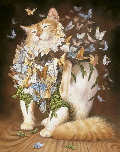 Heidi Taillefer-貓.jpg