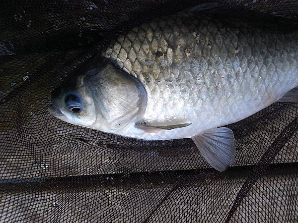 R0016540.JPG R0016540.JPG