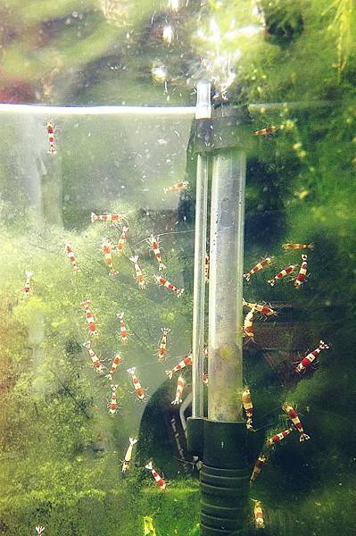 562397_10200871391285212_106688869_n