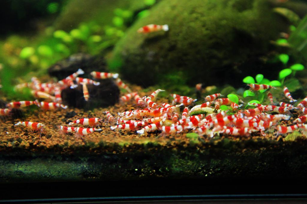 977395_10201011011215623_1681215367_o