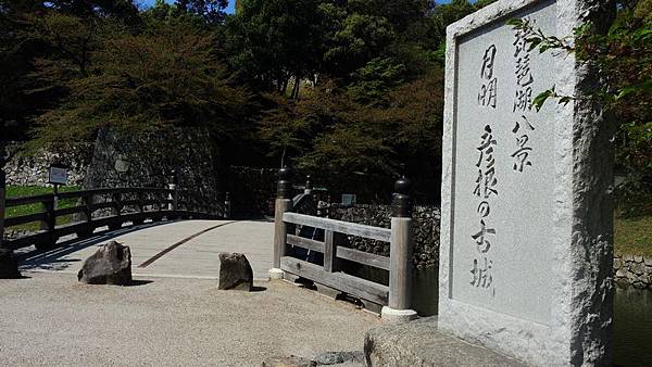 DSCN3401 DSCN3401