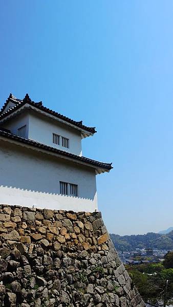 DSCN3411 DSCN3411