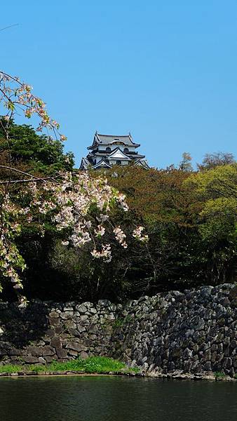 DSCN3505 DSCN3505