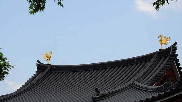 DSCN3795 DSCN3795
