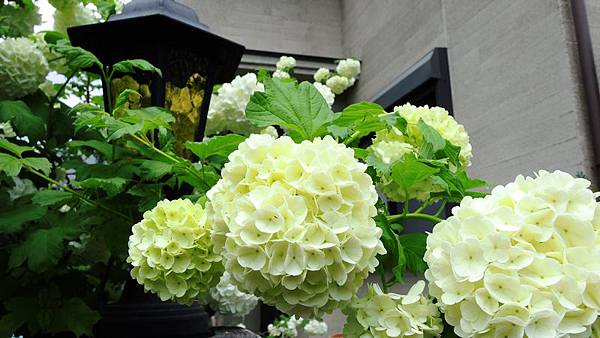 DSCN3846 DSCN3846