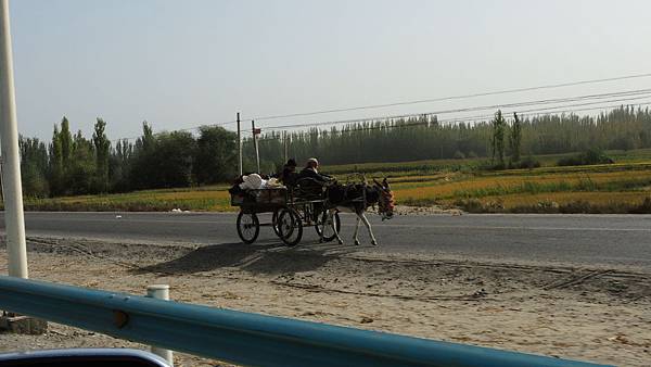 DSCN4868 DSCN4868