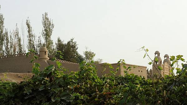DSCN5523 DSCN5523
