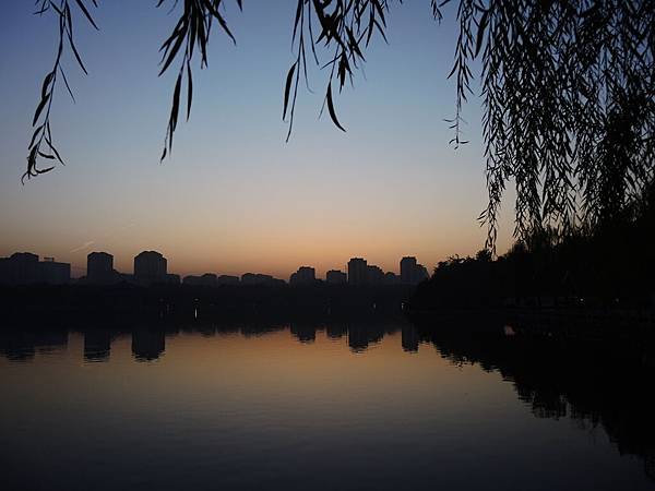 DSCN7417 DSCN7417