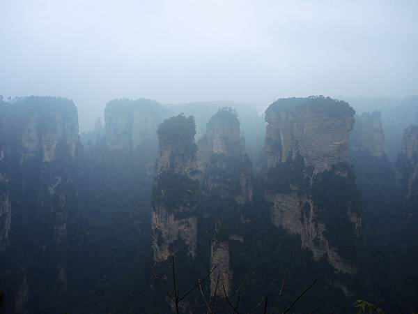 DSCN9603 DSCN9603