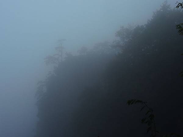 DSCN9684 DSCN9684