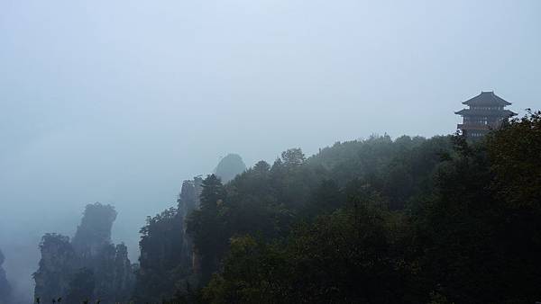 DSCN9764 DSCN9764
