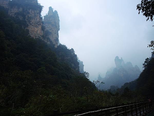 DSCN9823 DSCN9823