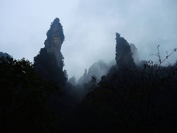 DSCN9817 DSCN9817