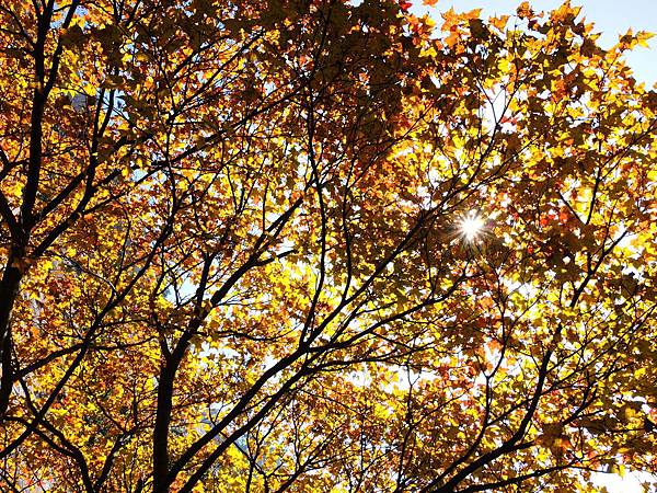 DSCN0465 DSCN0465