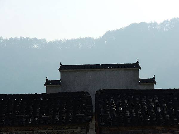 DSCN0933 DSCN0933
