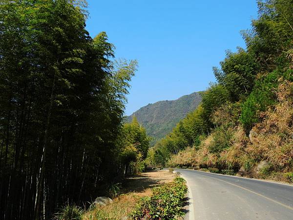 DSCN1095 DSCN1095