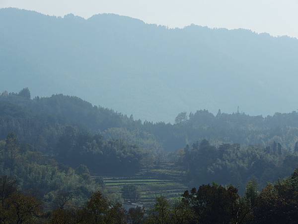 DSCN1117 DSCN1117